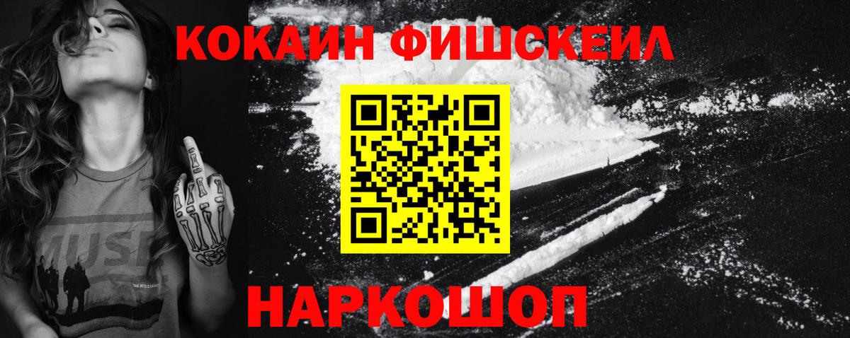 купить наркоту  Кокаин  COCAIN Fish Scale  Камышлов  Вход с VPN  КОКАИН Columbia 