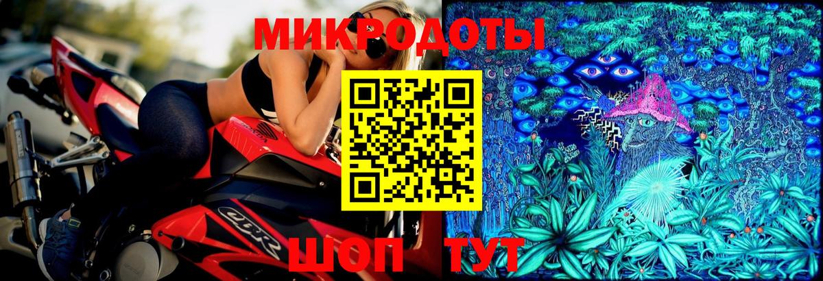 Галлюциногенные грибы Psilocybine cubensis Камышлов