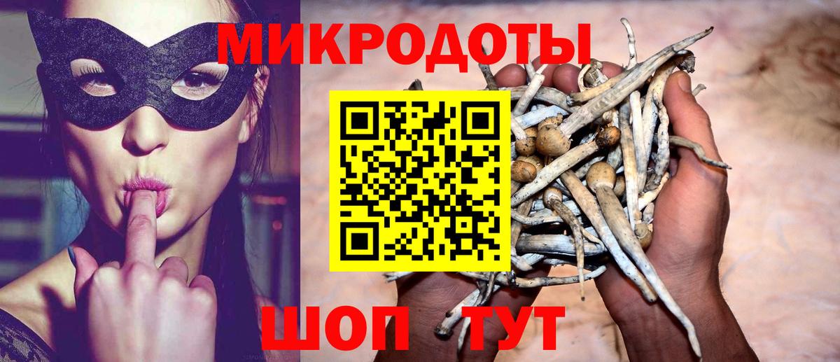 дарнет шоп  Псилоцибиновые грибы мицелий  Вход с VPN  Камышлов  Псилоцибиновые грибы Psilocybe 